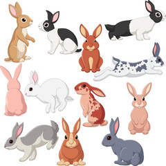 Wall Mural - cartoon illustration of rabbit collection set