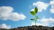 © Generative AI - Single Young Sprout Growing in Black Soil Under Bright Sky with Clouds : Generative AI