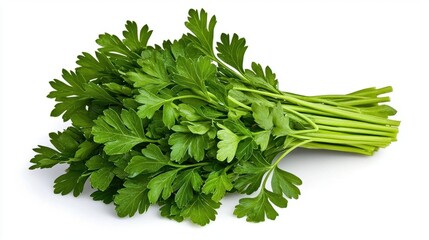 A photostock of a bushel of fresh herbs on a white background, aromatic and green.