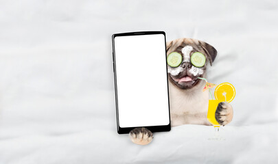 Leinwandbilder - Happy Pug puppy with a pieces of cucumber on it eyes relaxing on the bed at home and showing big smartphone with white screen in it paw. Top down view. Empty space for text