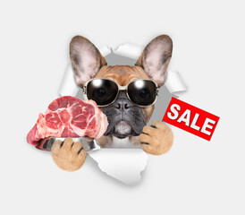 Poster - french bulldog puppy wearing sunglasses holds bowl of raw meat and looks through the hole in white p