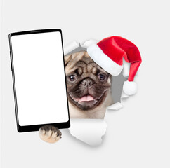 Poster - Funny Pug puppy wearing red santa hat holds big smartphone with empty screen in it paw, showing close to camera through torn white paper hole. Empty free space for mock up