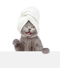Fototapete - Winking cat with towel on it head looks above blank white banner. isolated on white background