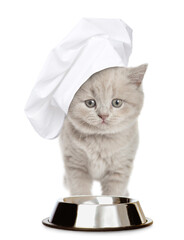 Poster - Cute kitten wearing chef's hat sits with empty bowl. isolated on white background
