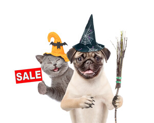 Poster - Happy cat and Pug puppy wearing  hats for halloween looks at camera. Dog holds the broomstick. Kitten  shows signboard with labeled 
