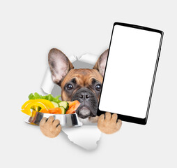 Poster - Puppy  looks through the hole in white paper, holds bowl of vegetables and  shows smartphone with white blank screen in it paw, Empty free space for mock up, banner