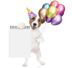 Poster - Happy jack russell terrier puppy wearing party cap holds balloons and ahows blank placard. Empty space for text. isolated on white background