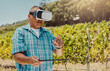 © peopleimages.com - Senior, man and tablet with vr headset in vineyard for interactive metaverse, winery tour or digital innovation. Point, guest and user experience of grape farm with 3D glasses for harvest simulation
