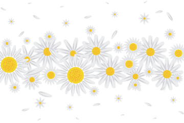 Wall Mural - Illustration of Abstract white flower on white background.