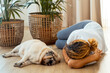 © simona - Relaxing at home, a woman finds joy and serenity while lying on the floor, sharing a heartfelt connection with her furry best friend, embodying comfort and affection
