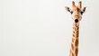© Premium_art - A giraffe with a surprised expression, its mouth wide open.