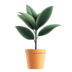 Wall Mural - a potted plant with leaves, a rubber tree isolated on a transparent background