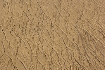 Traces in the sand - beach textures