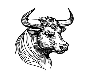 monoline bull head illustration with flowing lines, black vector