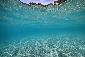 Wall Mural - underwater photo blue background panorama ocean surface and bottom of the sea