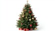 © Bold24 - decorated Christmas tree isolated on a white background