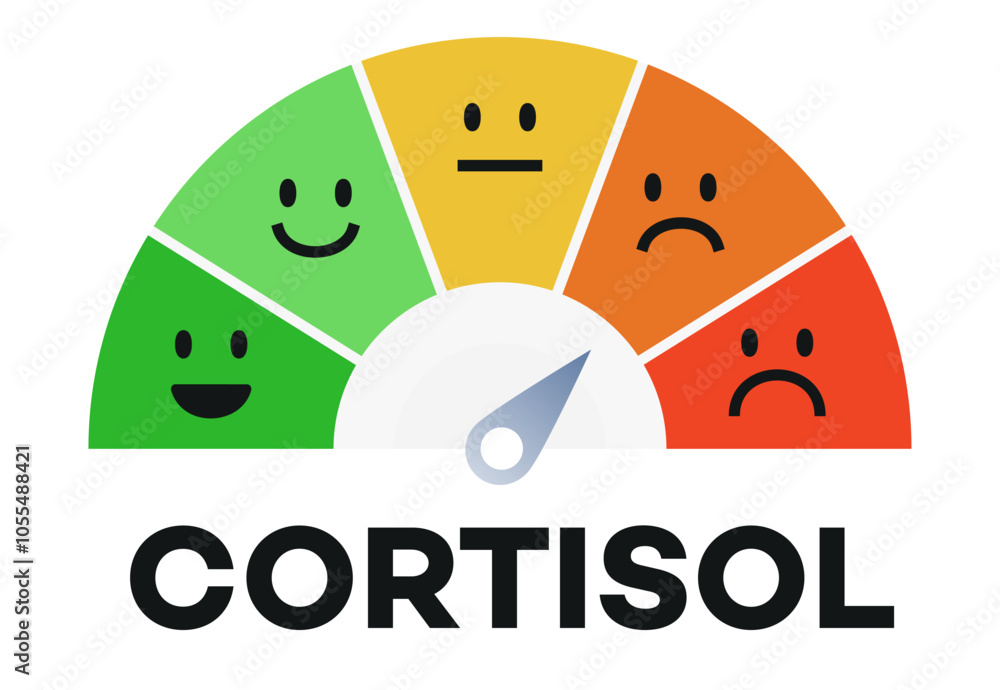 Cortisol scale level meter dashboard with arrow for understanding ...