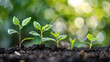 © Yohan - Step-by-step guide to growing plants, perfect for beginners in gardening.
