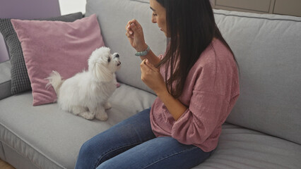 Wall Mural - Young hispanic woman playing with her white bichon maltes dog in a cozy living room