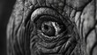 © NeuralNiche - Emotional close up of a sorrowful elephant s eye capturing the poignant theme of elephant conservation and their deep emotional expressions