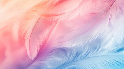 Aufkleber - Soft colored feather background with a blurred effect ideal for graphic design projects