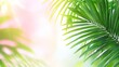 © Cdel - Sunlit Palm Leaves, vibrant green foliage illuminated by warm sunlight, casting intricate shadows on a soft background, creating a serene tropical atmosphere.