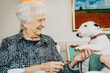 © Maskot - Happy elderly female playing with Bull Terrier dog at retirement home