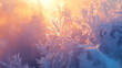© xbzz - Let the Winter morning light illuminate a frost-covered world