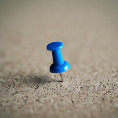 macro shot of a push pin on a corck board blue thumbtack on a pinboard