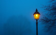 © BANDERSOUL - old lamp