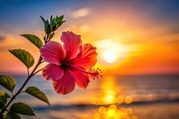 Tropical hibiscus flower silhouette with vibrant and showy petals