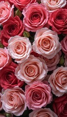 A detailed close-up of a bouquet of pink roses, showcasing their vibrant color and delicate petals. The image exudes beauty and romanticism.