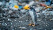 © milenialdesastudio - A penguin stands on a beach littered with plastic pollution.