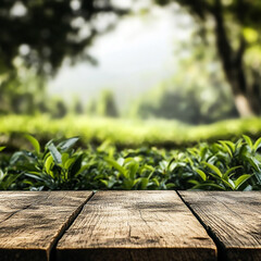 Wall Mural - Photo wooden produm tea garden blur background