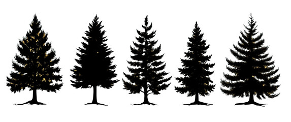 Wall Mural - Set of black silhouettes of coniferous trees isolated on a white background