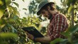 © songpol152 - A farmer in a red plaid shirt is using a tablet to check apples in his apple orchard.