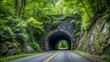 © Mst - Breathtaking Blue Ridge Parkway Tunnel Photography for Digital and Print Use