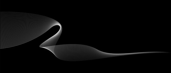 Abstract vector wavy lines flowing smooth curve white grey light color on black background in concept of luxury, technology, science, music, modern.