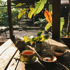 Thai Herbal Medicine Experimentation and Extraction Process, Featuring Colorful Traditional Herbs, Laboratory Equipment, and Scientific Analysis