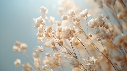 Canvas Print - Serene Blooming Meadow with Soft Focus and Gentle Morning Sunlight : Generative AI