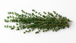 © Alfazet Chronicles - Fresh green thyme herb sprigs arranged on a white background, showing detailed leaves and stems.