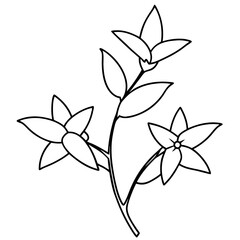 Wall Mural - black and white forsythia flower