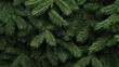 © primopiano - Close-up of lush green fir tree branches, displaying the dense and vibrant foliage of the coniferous plant. The image emphasizes the natural texture and detail of the needles.