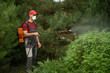 © Grustock - Gardener wearing a protective mask and gloves sprays insecticide on a hedge using a manual pump sprayer, ensuring effective pest control and plant health in the garden