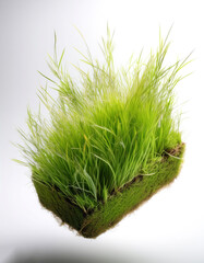 patch of grass floating or flying isolated white background