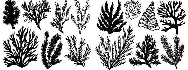 Sticker - The modern draw aquarium seaweed set includes undersea plants, sea coral elements, and hand drawn ocean flourish algae.