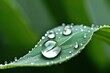 © deep breath - dewdrop numbers the shape of a dewdrop forms the shape of a