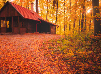 Canvas Print - Pathway in the forest in autumn