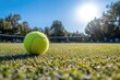 © Gatherina - Tennis ball resting on grass court on sunny day
