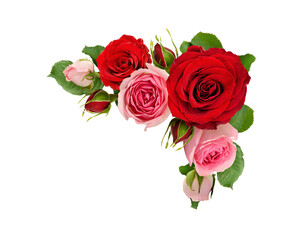 Wall Mural - red and pink rose flowers with green leaves in a corner arrangement isolated on white or transparent